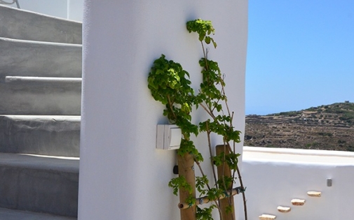 amorgos-rooms-haroupia-17